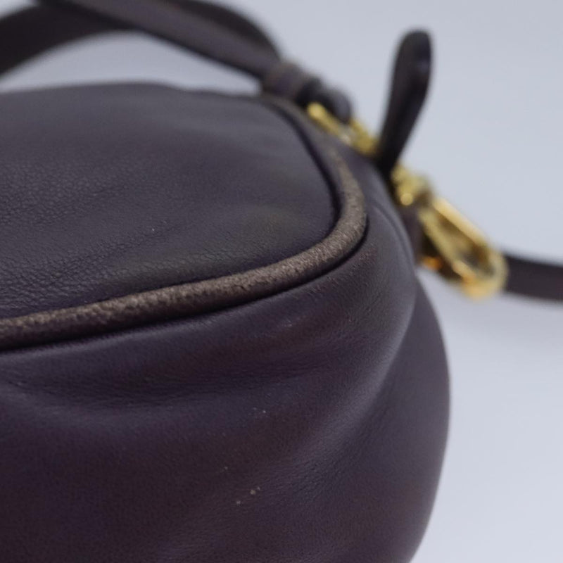 Prada Purple Leather Shoulder Bag (Pre-Owned)