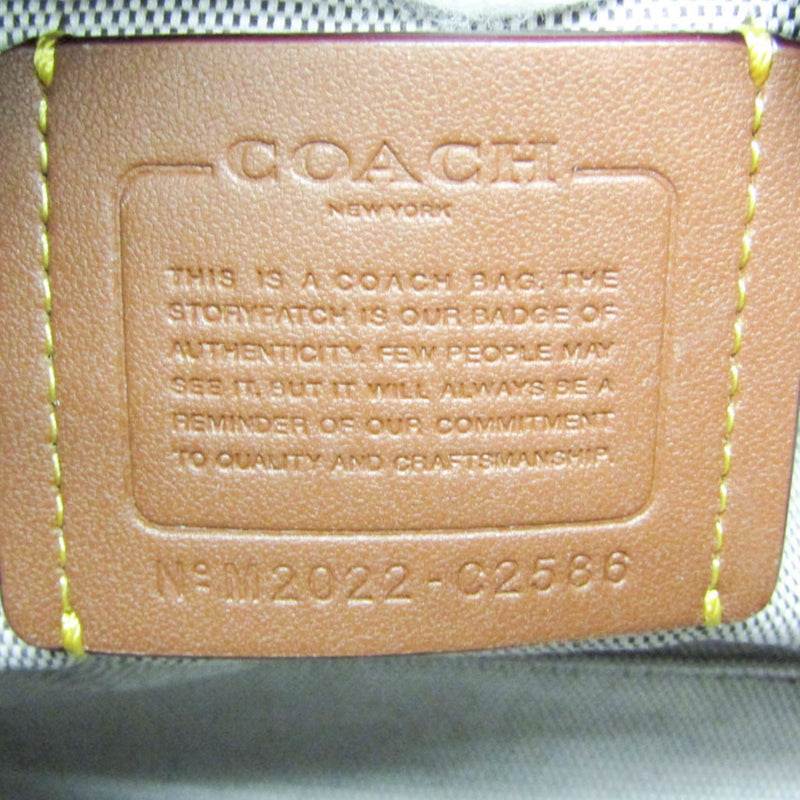 Coach Caryall Beige Leather Handbag (Pre-Owned)