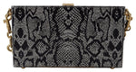 Dolce & Gabbana Gray Resin Dolce Box Clutch with Gold Women's Details