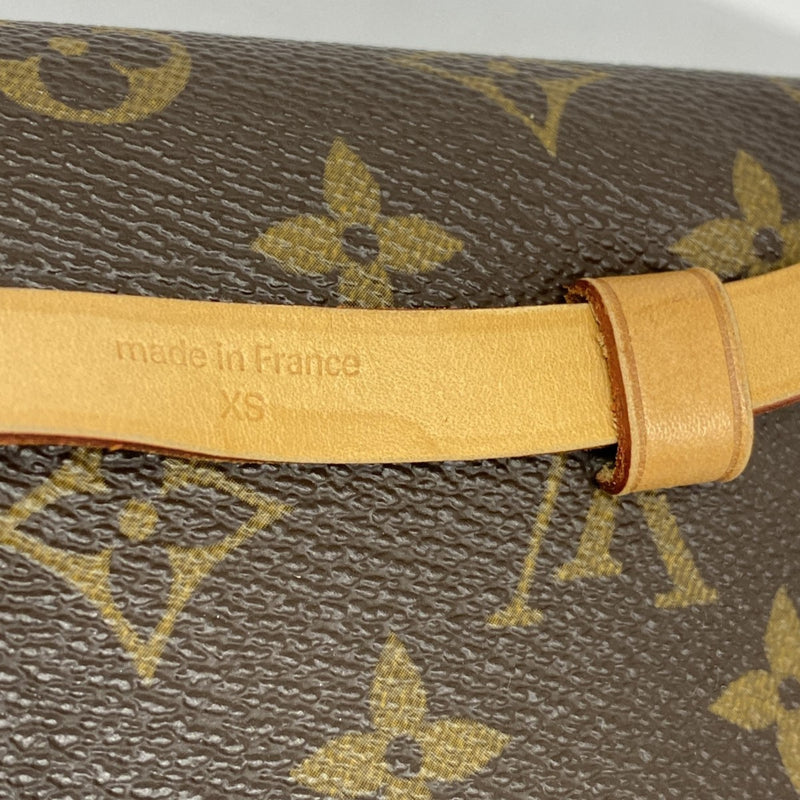 Louis Vuitton Brown Fanny Pack (Pre-Owned)