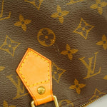 Louis Vuitton Brown Handbag (Pre-Owned)