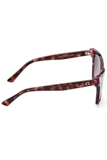 Guess Jeans Brown Injected Women Women's Sunglass