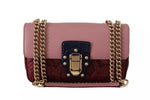 Dolce & Gabbana Pink Red Exotic Skins Gold Chain Purse LUCIA Leather Women's Bag (Pre-Owned)