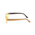 Fendi Bicolor Plastic Women's Frames