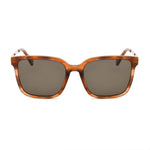 Zadig & Voltaire Brown Acetate Women's Sunglasses