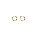 Alexander McQueen Snake Women's Earrings